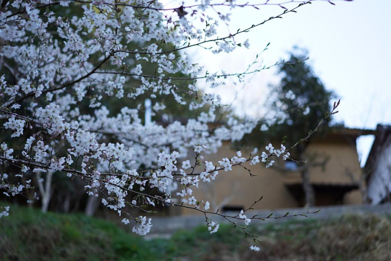 Appartamento Oldbutnew 蔵 Hara  Esterno foto
